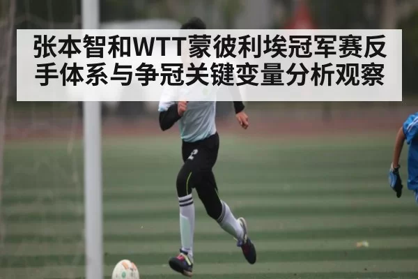 张本智和WTT蒙彼利埃冠军赛反手体系与争冠关键变量分析观察